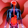 Curso Internacional de Microbiota 2025