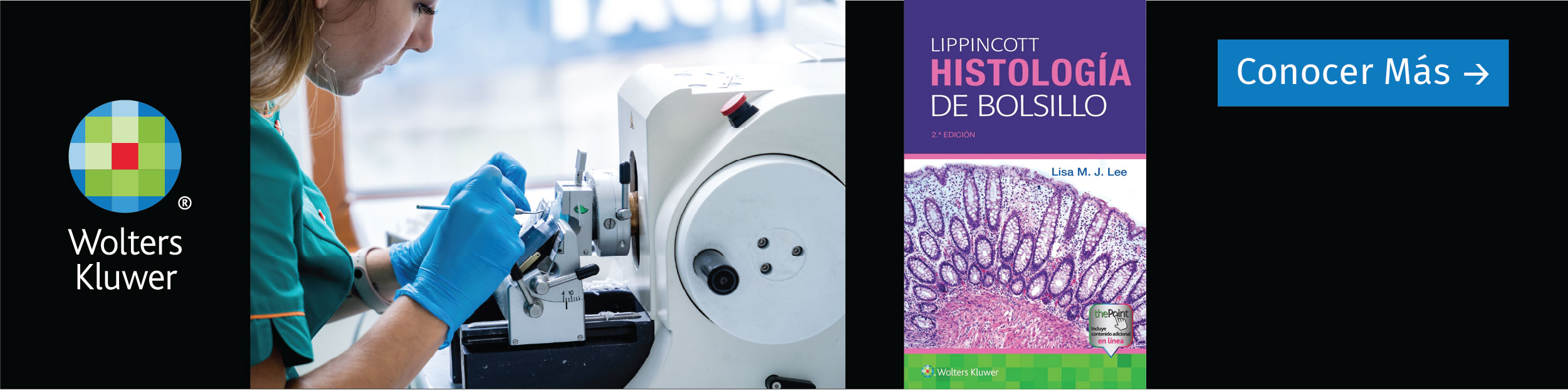 Banners WK – Histología – mobile